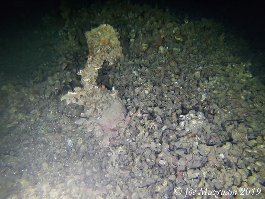 A pile of rocks in the ocean with a rock covered floor.