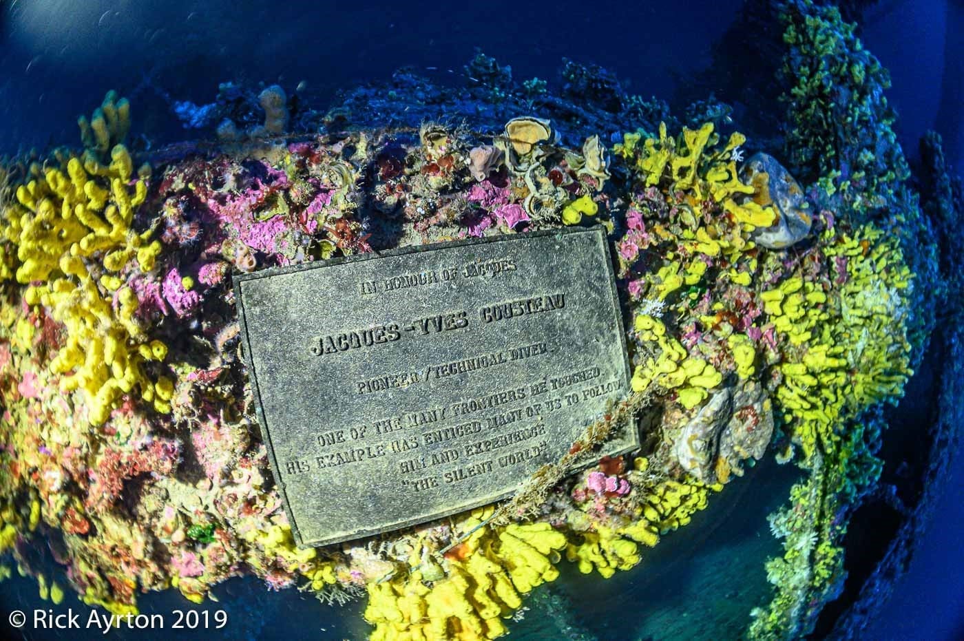 A plaque on the bottom of a coral reef.