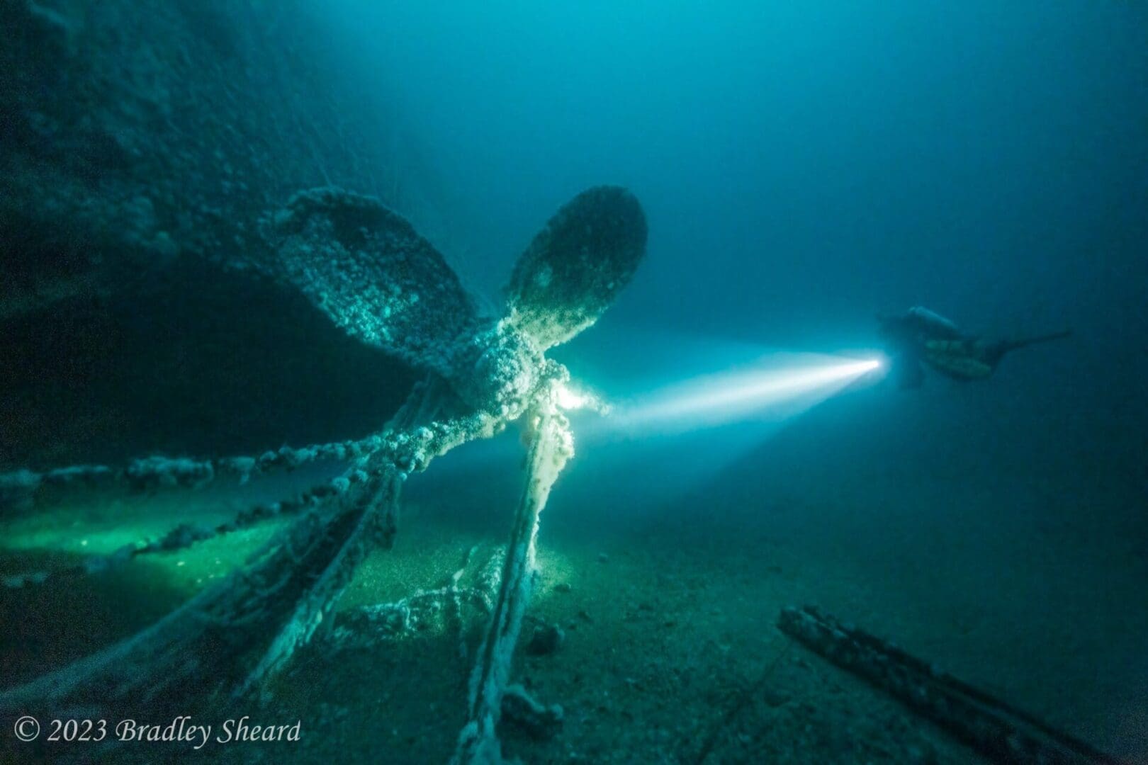 A light shines on the bottom of an underwater scene.